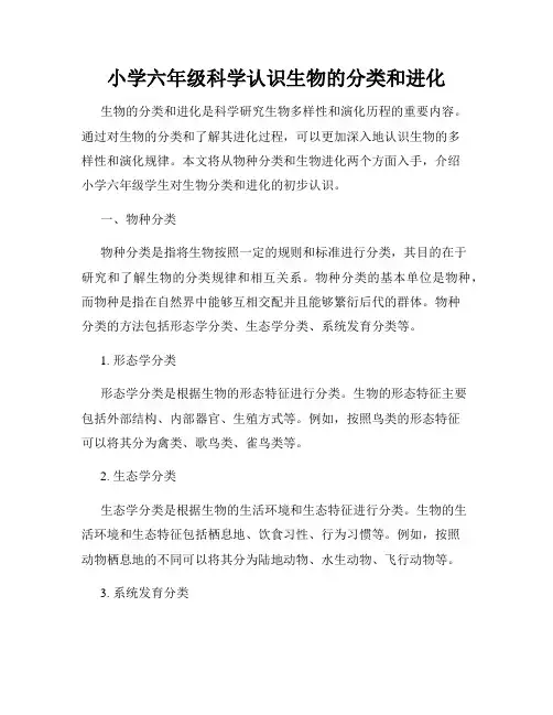 小学六年级科学认识生物的分类和进化