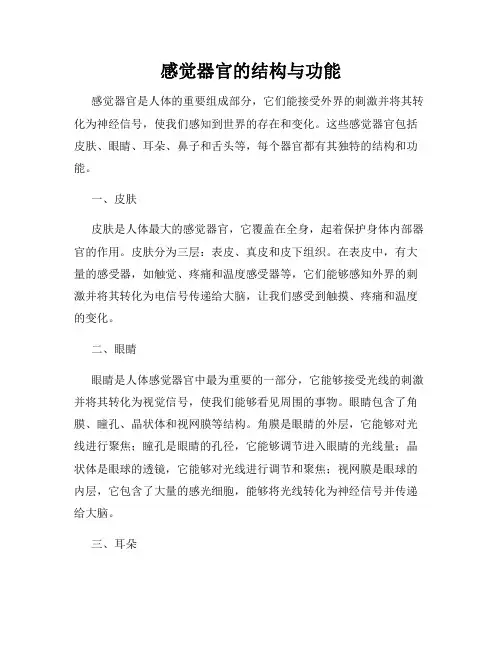 感觉器官的结构与功能