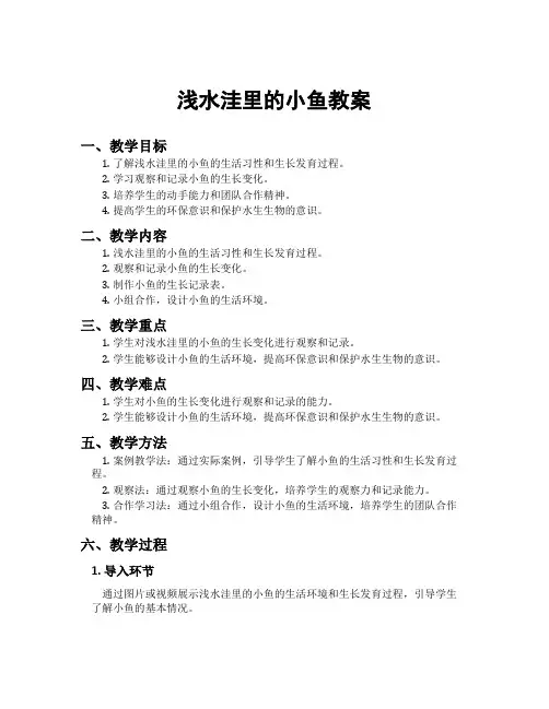 浅水洼里的小鱼教案