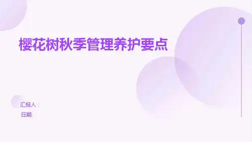 樱花树秋季管理养护要点