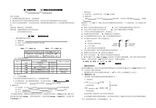 人教版教学教案降低化学反应的酶 导学案