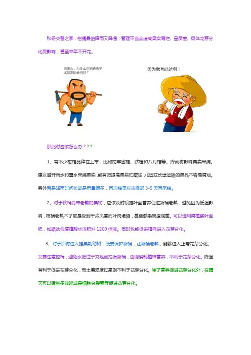 降温降雨,柑橘秋管抓好这几点,那都不是事!