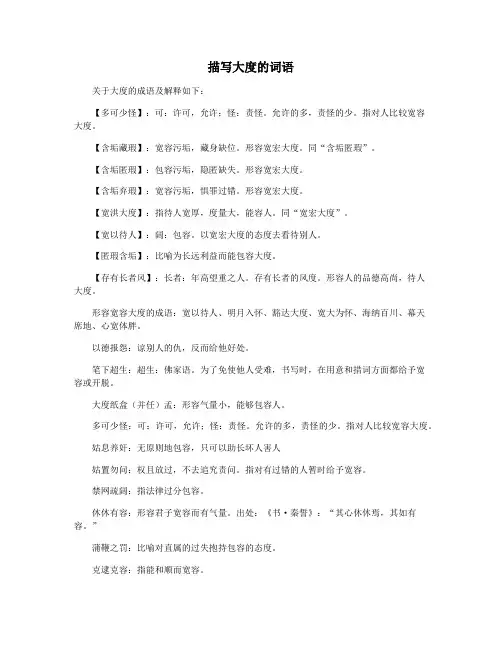 描写大度的词语