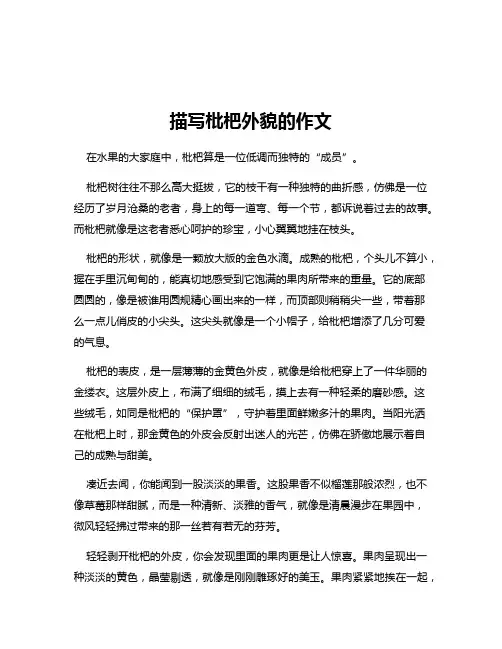 描写枇杷外貌的作文