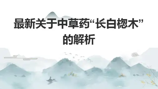 最新关于中草药“长白楤木”的解析