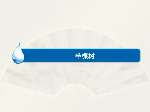 人教选修中国现代诗歌散文欣赏半棵树课件(34张)