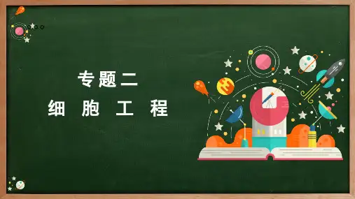 人教版高中生物  专题2   植物细胞工程