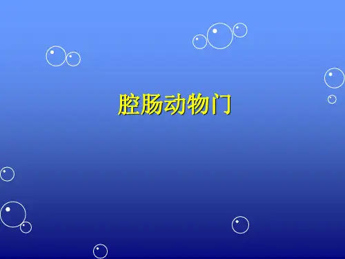 生物奥赛之腔肠、扁形、原腔动物门