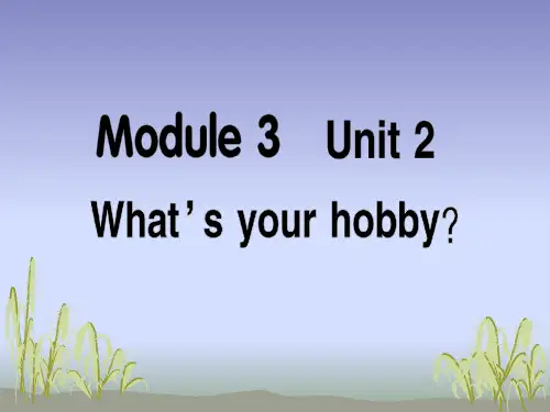 Module 3 Unit 2 What's your hobby？教案1