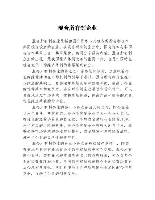 混合所有制企业