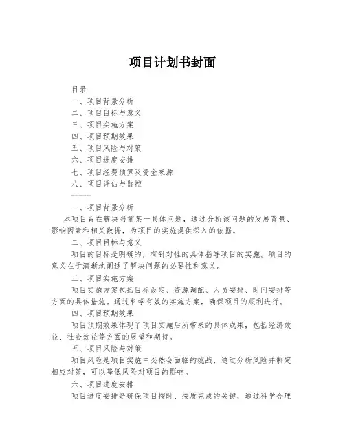 项目计划书封面