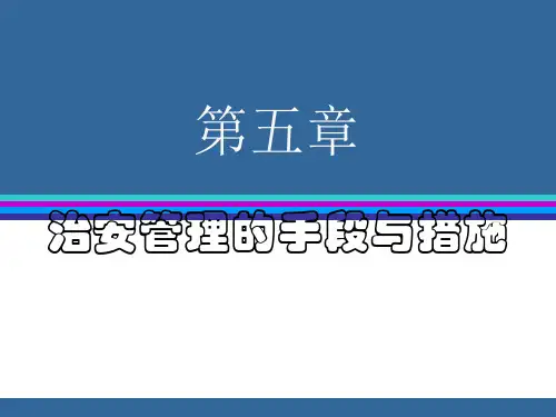 治安管理的手段与措施ppt课件