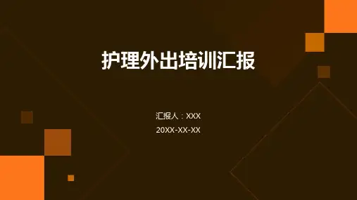 护理外出培训汇报ppt模板
