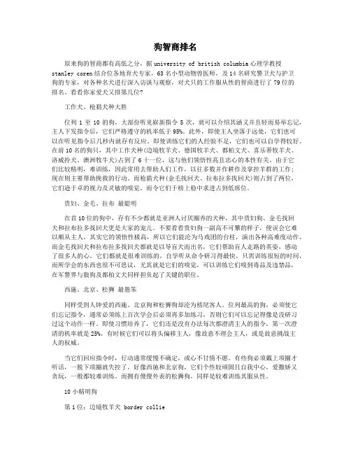 狗智商排名