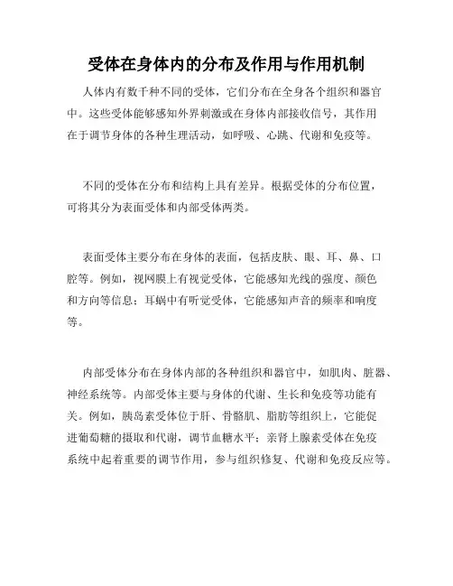 受体在身体内的分布及作用与作用机制