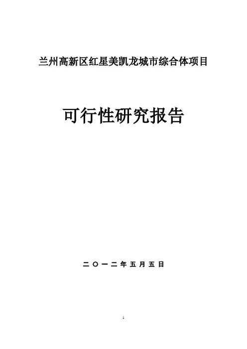 高新区红星美凯龙城市综合体项目可行性研究报告