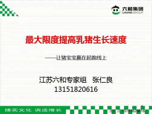 乳猪料使用方法PPT课件