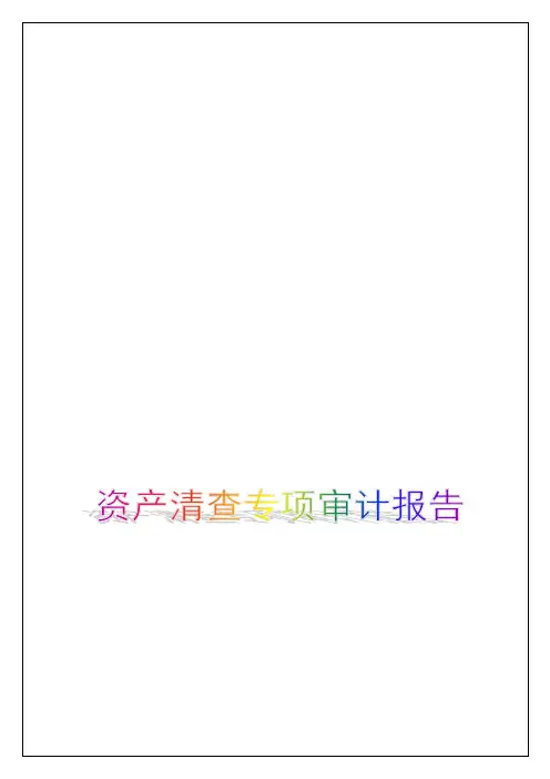 资产清查专项审计报告