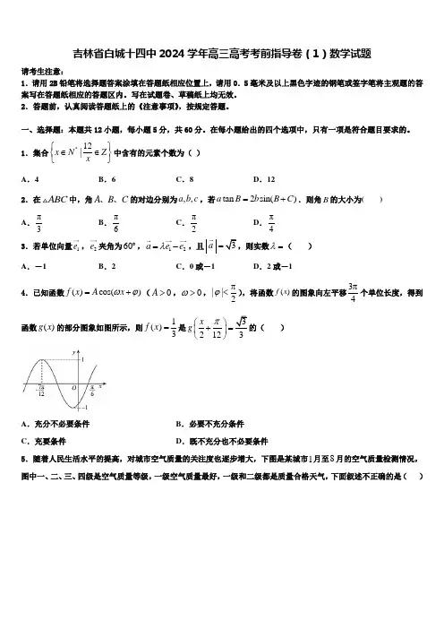 吉林省白城十四中2024学年高三高考考前指导卷(1)数学试题