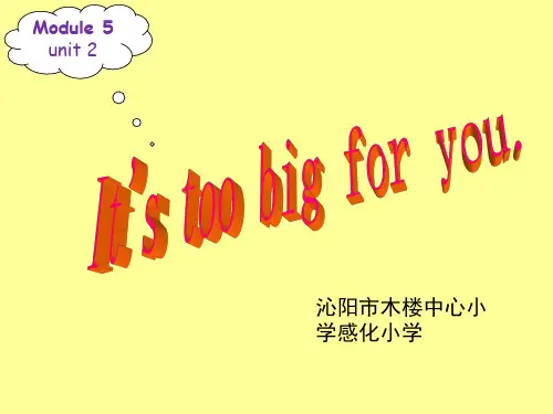 小学英语五年级下册第五模块第二单元课件