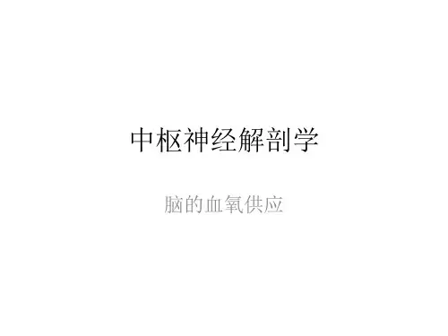 脑的血氧供应ppt课件