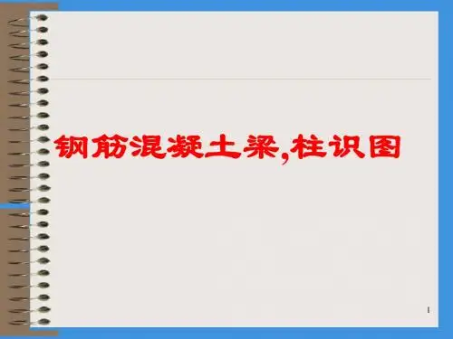 梁板柱结构识图PPT课件