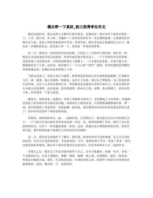 偶尔停一下真好_初三优秀学生作文