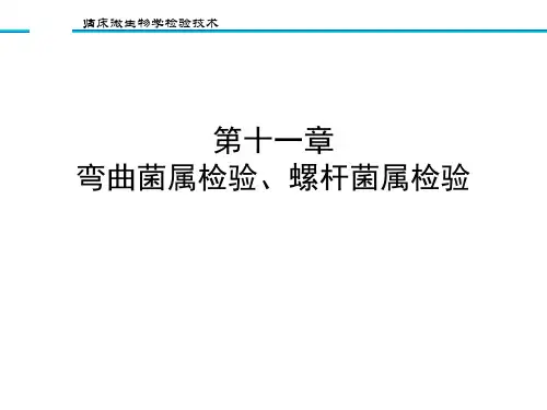 11第十一章 弯曲菌属检验、螺杆菌属检验
