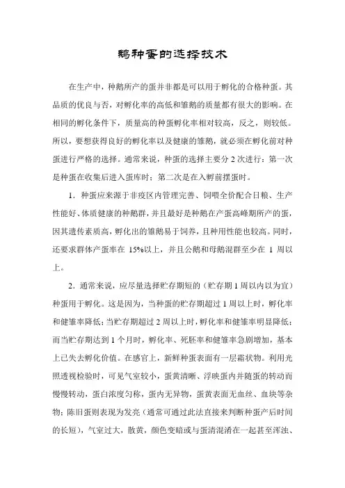 鹅种蛋的选择技术