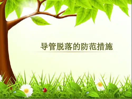 导管的滑脱的预防PPT课件
