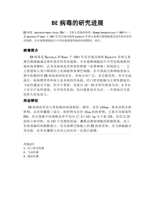 EB病毒的研究进展