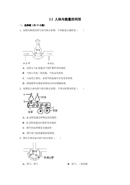 济南版生物七年级下册人体内能量的利用
