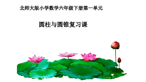 最新北师大版六年级下册数学《圆柱与圆锥》复习课优质教学课件