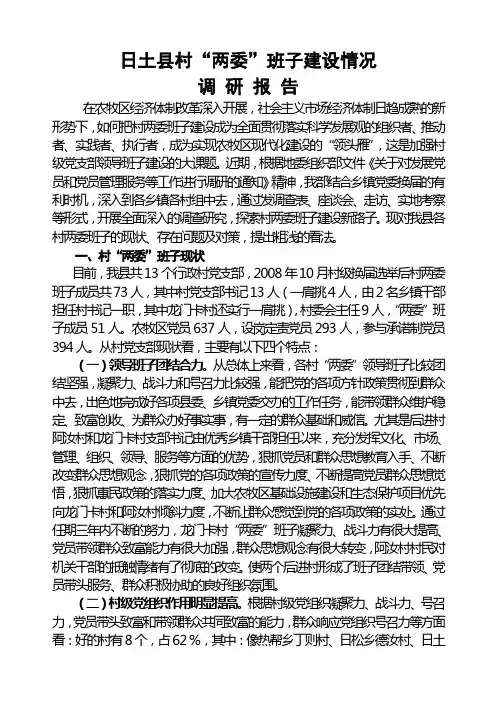 村两委班子建设工作调研报告