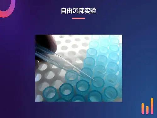 自由沉降实验