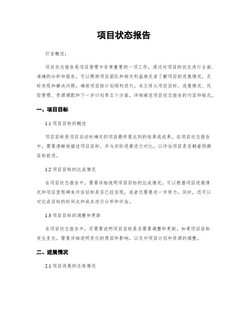 项目状态报告