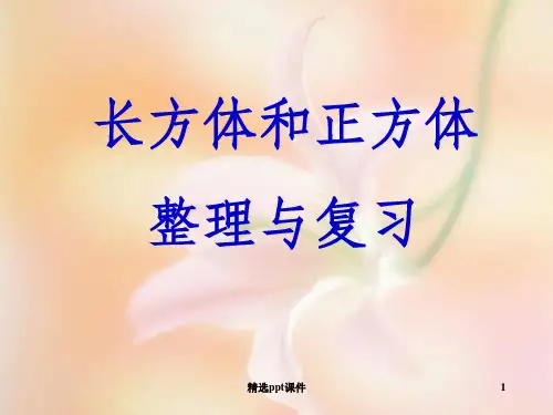 人教版五年级数学下册长方体和正方体整理与复习ppt课件
