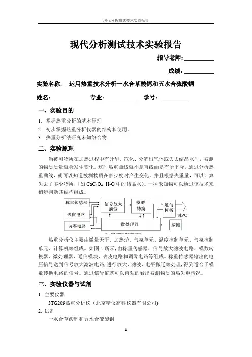 热重实验报告