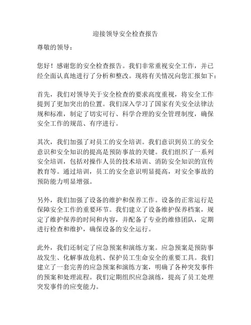 迎接领导安全检查报告