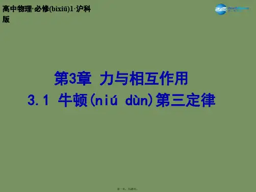 高中物理 3.1 牛顿第三定律课件 沪科版必修1
