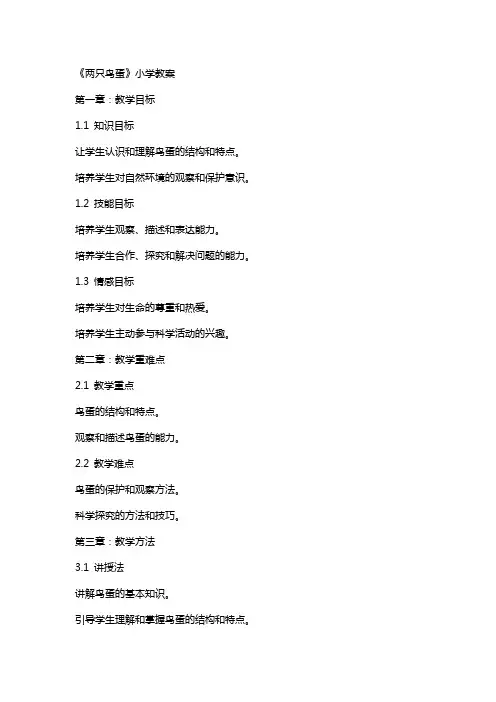 《两只鸟蛋》小学教案