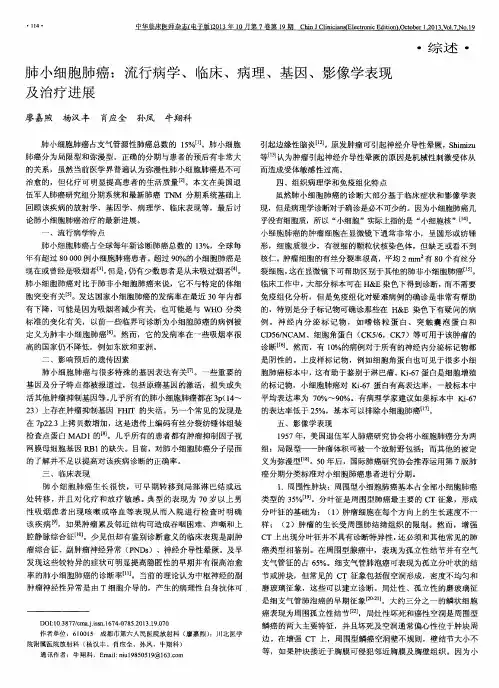 肺小细胞肺癌：流行病学、临床、病理、基因、影像学表现及治疗进展