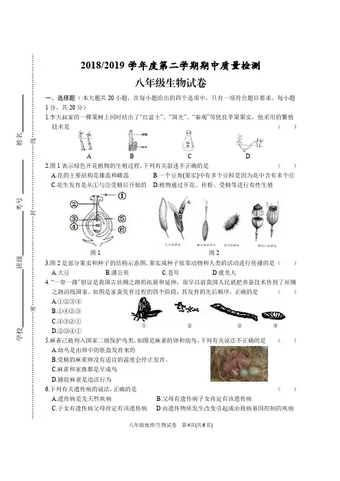 2018-2019学年度第二学期期中质量检测八年级生物试卷及答案
