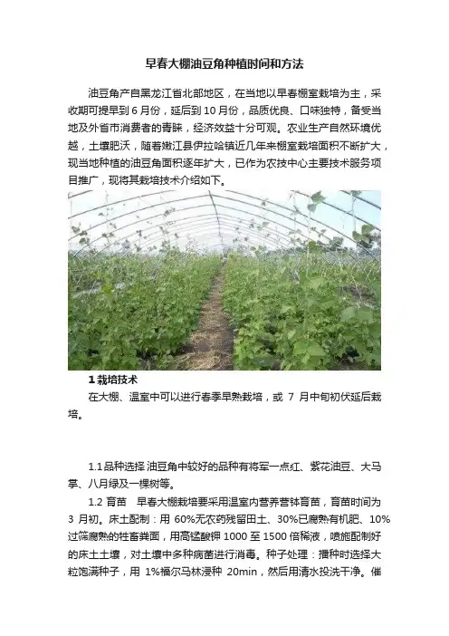 早春大棚油豆角种植时间和方法