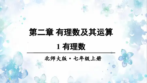 《有理数》PPT课件 北师大版