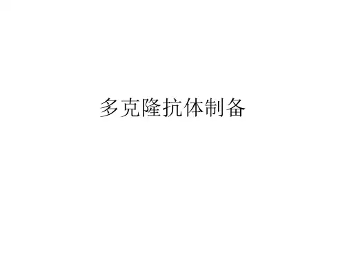 多克隆抗体制备