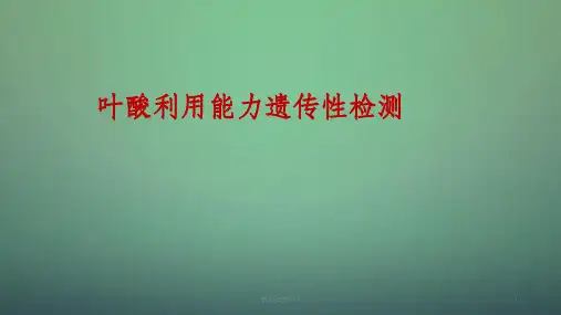 叶酸利用能力检测课件