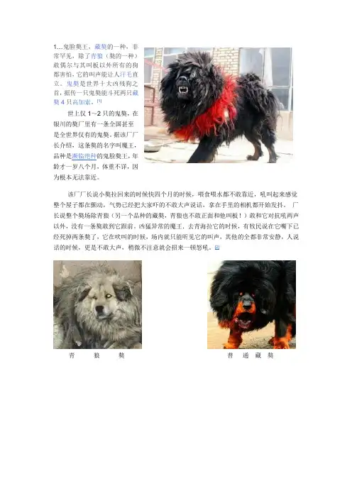 鬼脸獒王