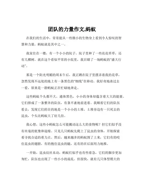 团队的力量作文,蚂蚁