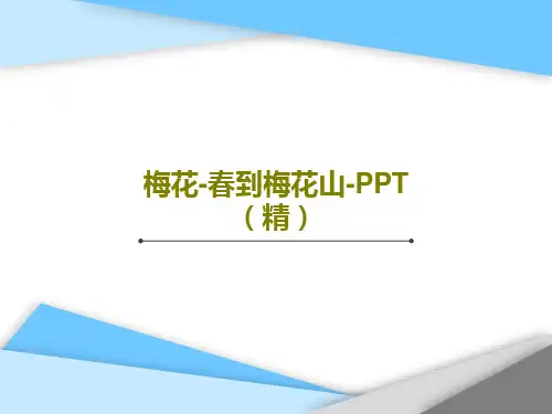 梅花-春到梅花山-PPT(精)共28页